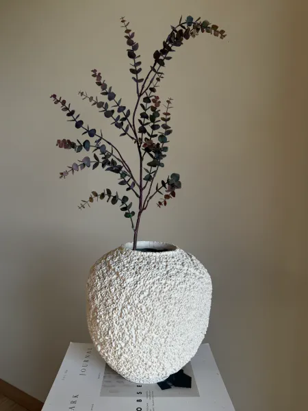 Hovedbilde Ecualyptus purple