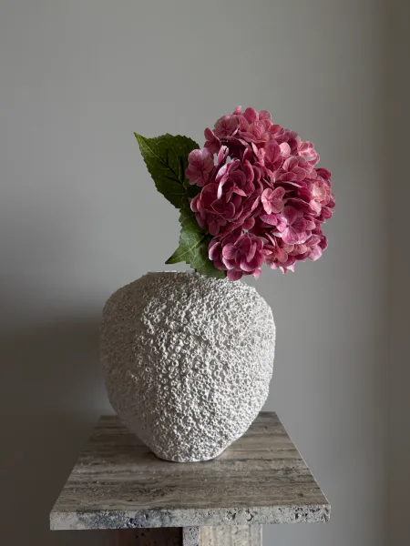 Hovedbilde Hortensia Mørk Rosa